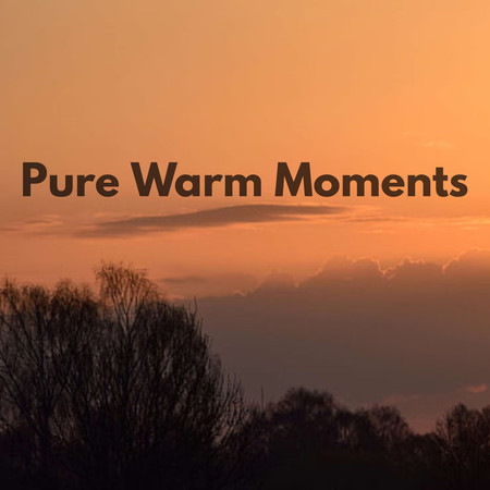 Pure Warm Moments