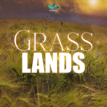 Grasslands