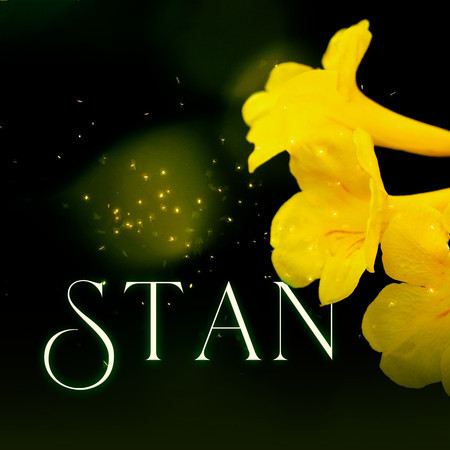 Stan