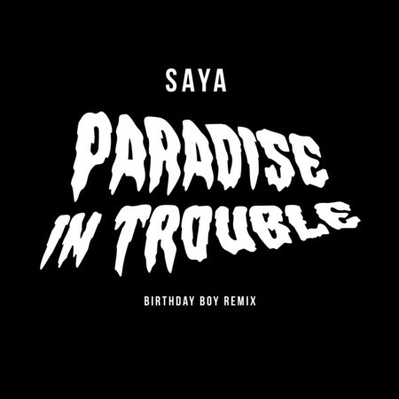 Paradise in Trouble (Birthday Boy Remix)