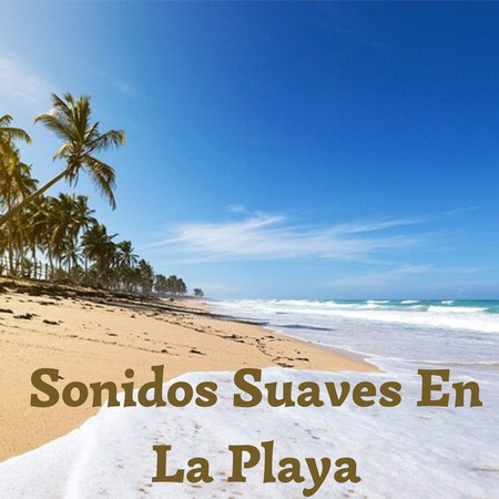 Sonidos Suaves En La Playa