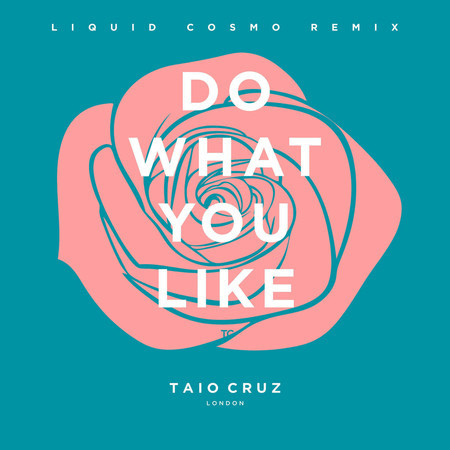 Do What You Like (Liquid Cosmo Remix) [Radio Edit] 專輯封面