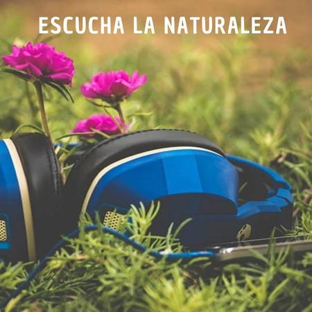 lytte til naturen