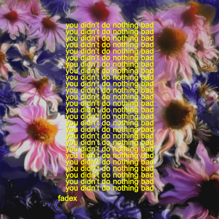 You Didn't Do Nothing Bad