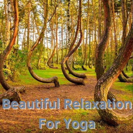 Beautiful Relaxation For Yoga