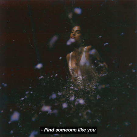 Find Someone Like You