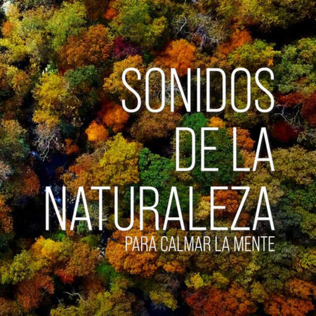 Sonido De La Naturaleza Para Calmar La Mente