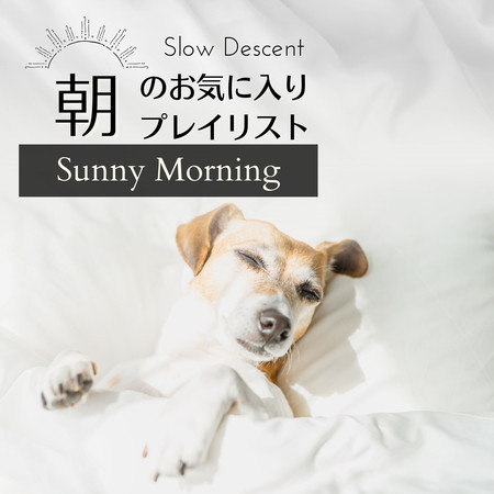 朝のお気に入りプレイリスト - Sunny Morning