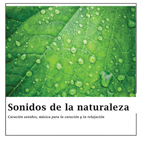 Sonidos De La Naturaleza -  Para Sueno Profundo 1