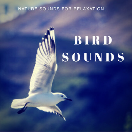 Bird Sounds