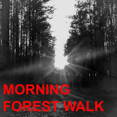 Morning Forest Walk