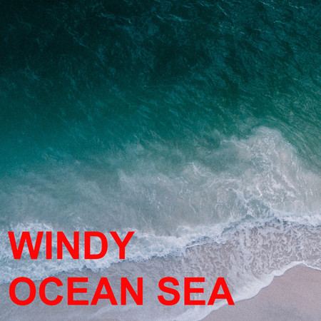 Windy Ocean Sea