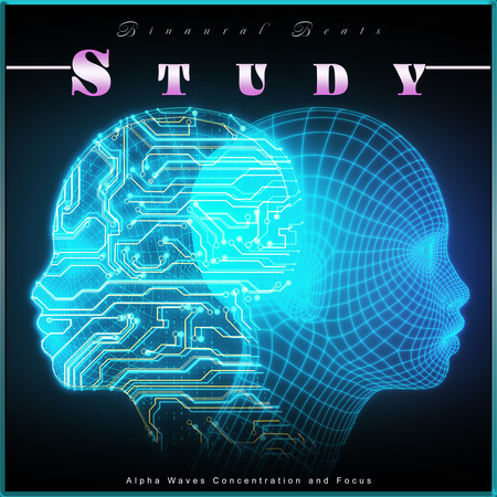Binaural Beats Study: Alpha Waves Concentration and Focus