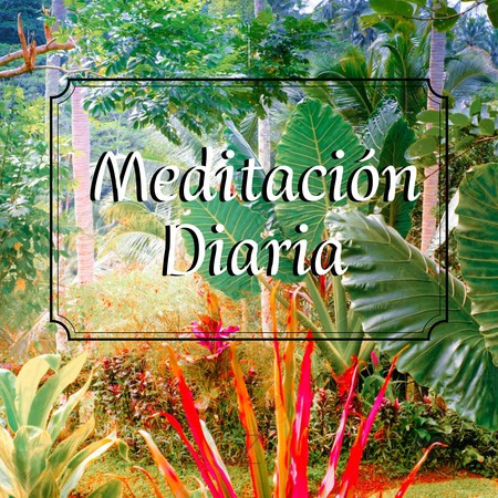 Meditación Diaria