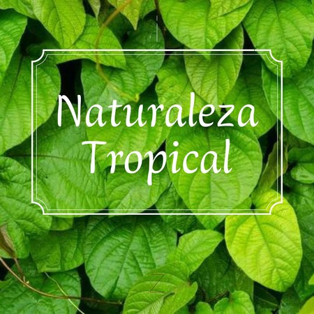 Naturaleza Tropical
