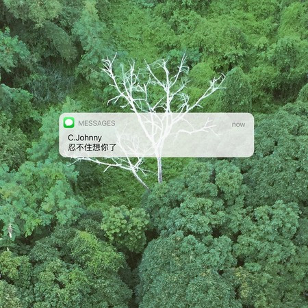 專輯封面