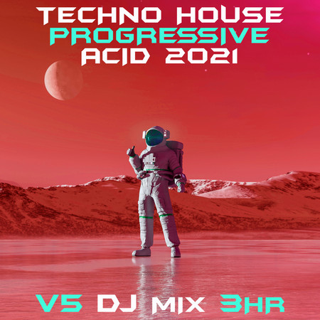 Techno House Progressive Acid 2021, Vol. 5 (DJ Mix)