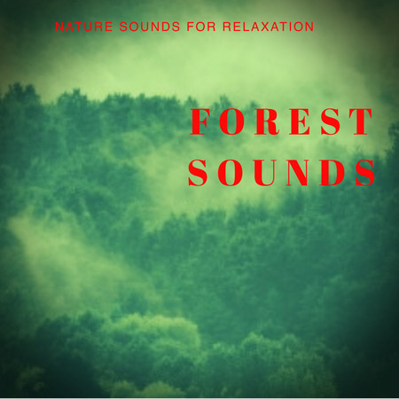 Forest Sounds 1