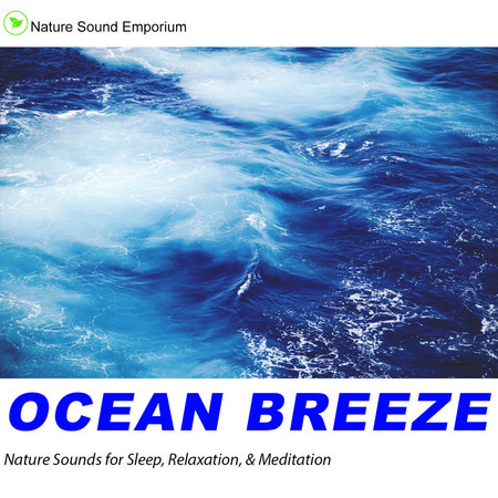 Ocean Breeze 4