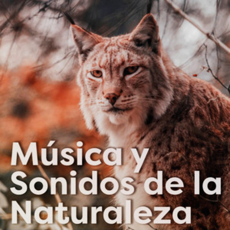 Música Y Sonidos De La Naturaleza