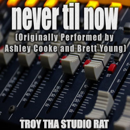 Never Til Now (Originally Performed by Ashley Cooke and Brett Young) (Instrumental)