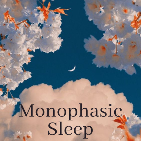 Monophasic Sleep專輯 - Relajación undefined - LINE MUSIC