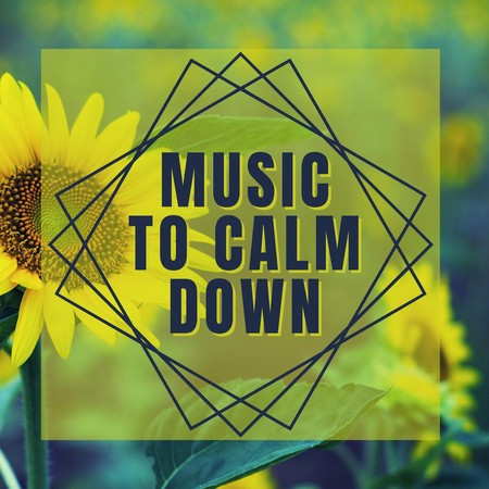 Music To Calm Down