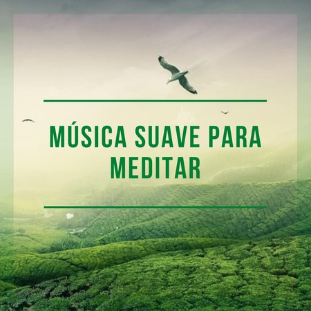 Música Suave Para Meditar