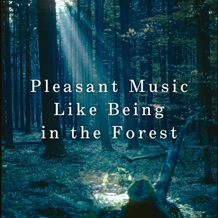 Pleasant Music Like Being in the Forest