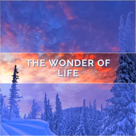 The Wonder Of Life專輯 - EX Music undefined - LINE MUSIC
