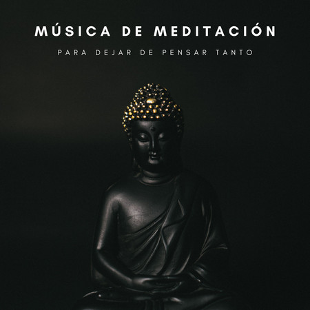 Música De Meditación Para Dejar De Pensar Tanto