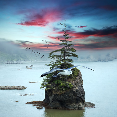 新歌加歌曲精選輯(四)