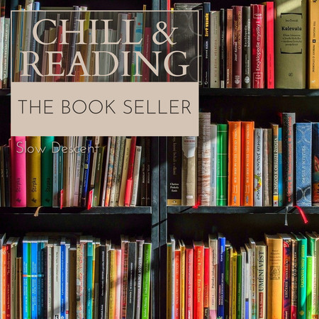 Chill & Reading - The Book Seller