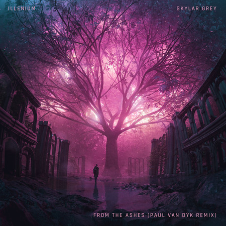 From The Ashes (with Skylar Grey) (Paul van Dyk Remix)