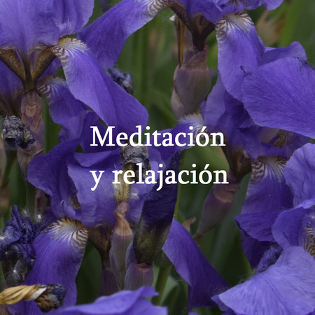 Meditación Zen