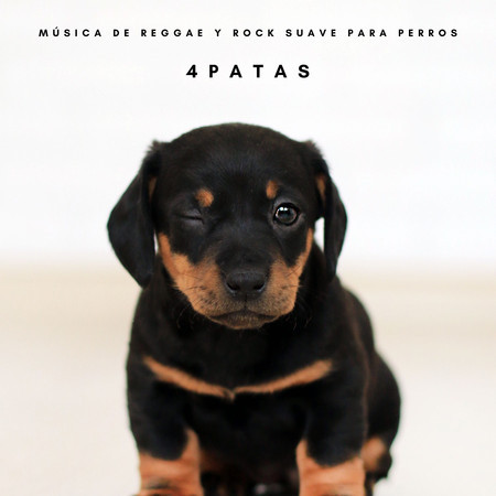 4Patas: Música De Reggae y Rock Suave Para Perros