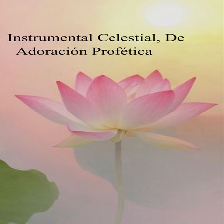 Instrumental Celestial, De Adoración Profética
