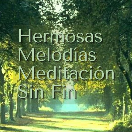 Hermosas Melodías Meditación Sin Fin