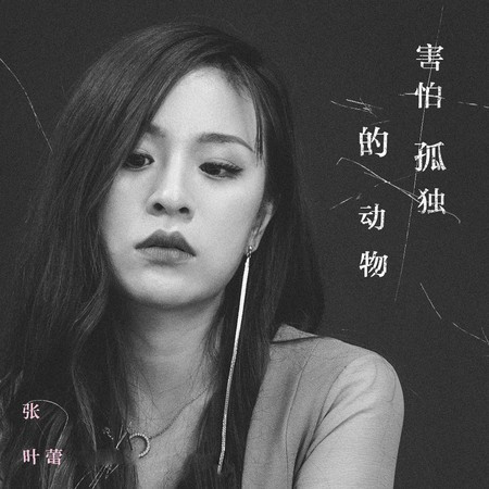 害怕孤独的动物