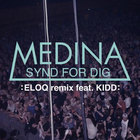 Synd For Dig