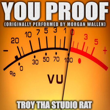 You Proof (Originally Performed by Morgan Wallen) (Instrumental)