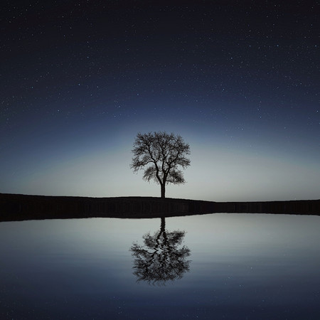 We Are Made Of Stars