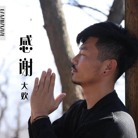 感谢專輯 - 大欢 - LINE MUSIC