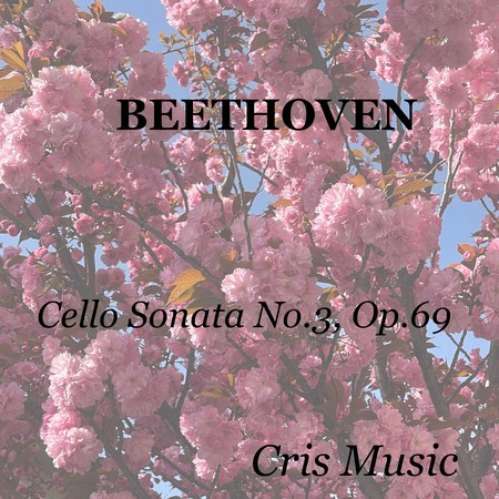 Beethoven: Cello Sonata No.3, Op.69: I. Allegro ma non tanto
