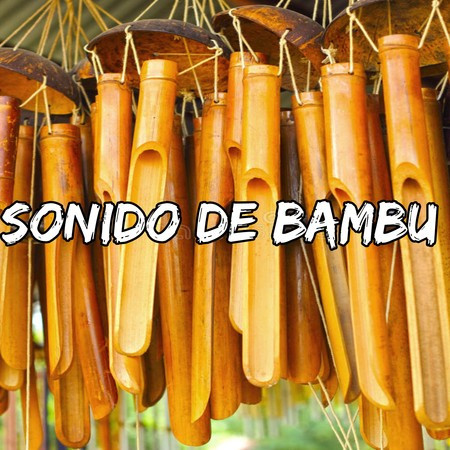 Sonido de Bambu