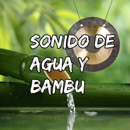 Sonido de Agua y Bambu