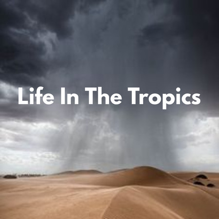 Life In The Tropics