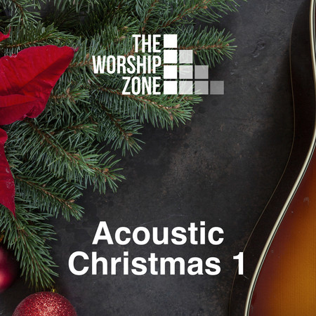 Joy to the World (Acoustic Instrumental)