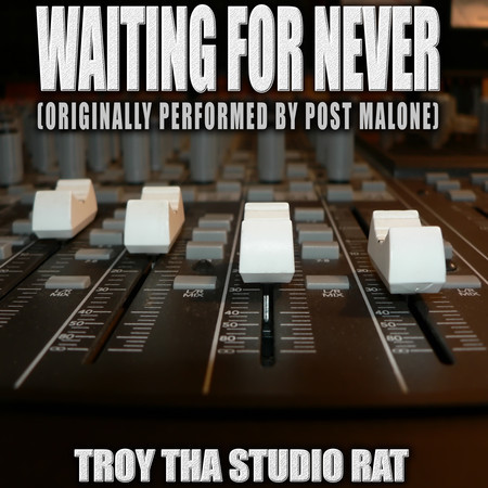 Waiting For Never (Originally Performed by Post Malone) (Instrumental Version)