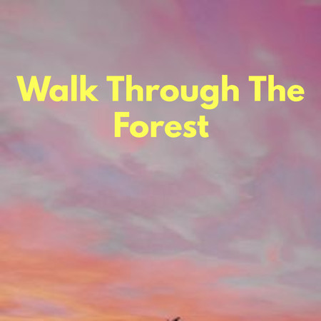 Walk Through The Forest